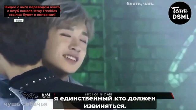 минсоны заполнили всю мою жизнь. смотреть онлайн