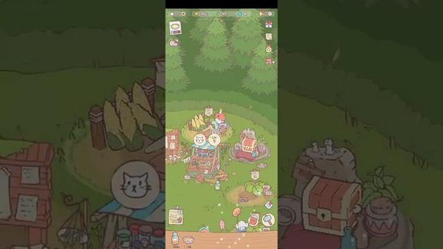 играю в кошки и суп