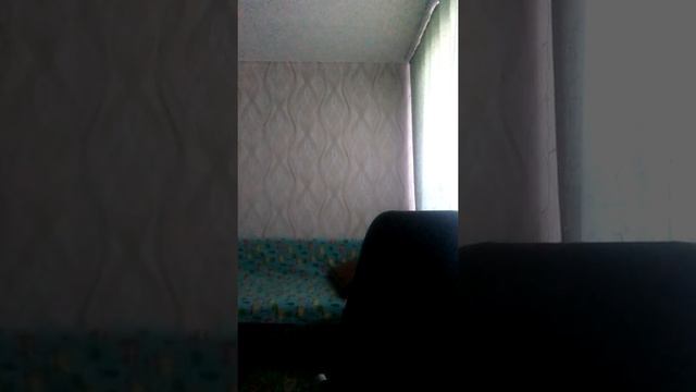 oxxyimon пытался сделать вертуху нарезка со стрима #стрим #вк смотреть онлайн