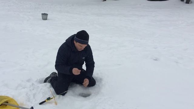 Поимка форели . РК Фишка Липки. 24 февраля 2023. смотреть онлайн