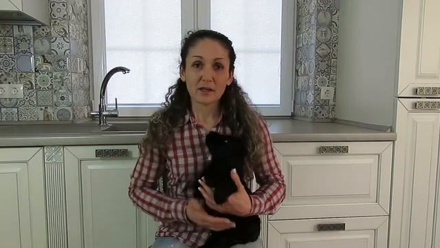 Количество кормлений щенка Важный совет относительно сухого корма! смотреть онлайн