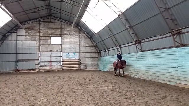 Ошибки при работе шенкелем у начинающих всадников смотреть онлайн