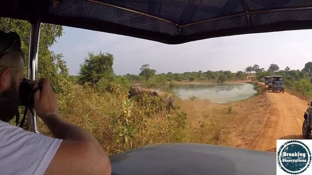 Udawalawe National Park safari, Sri Lanka смотреть онлайн