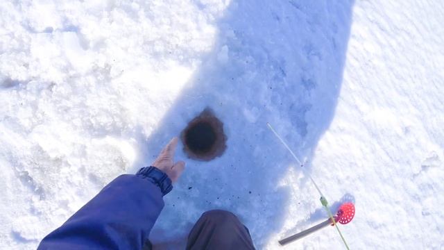 Наловили ПЛОТВЫ на озере . Ловля плотвы в глухозимье на мормышку и крючок . смотреть онлайн