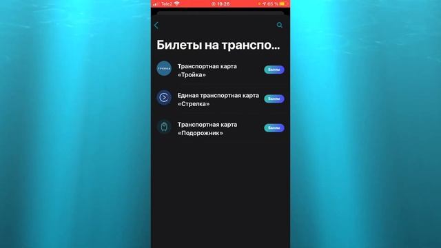 КАК ПОПОЛНИТЬ ПОДОРОЖНИК ЧЕРЕЗ ТЕЛЕФОН ЮМАНИ? ПОПОЛНЯЕМ КАРТУ ПОДОРОЖНИК ОНЛАЙН смотреть онлайн