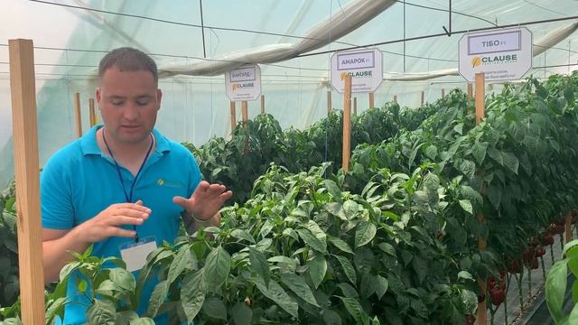 Совместный семинар ТД Киссон и Валам-ЮГ (2021)