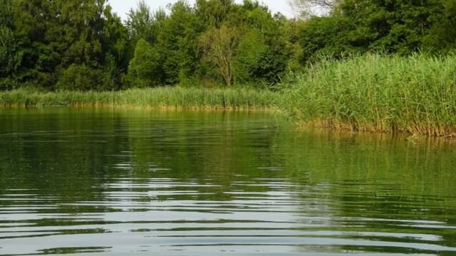 ДЕД РАСКРЫЛ необычный СПОСОБ ловли ЩУКИ, который работает и СЕЙЧАС! SeMano TV смотреть онлайн