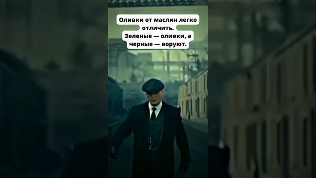 Оливки от маслин легко отличить Зеленые — оливки, а черные — воруют смотреть онлайн