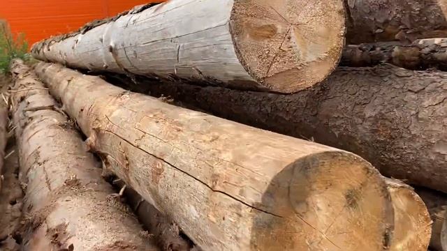 Как быстро заготовить сухие дрова смотреть онлайн