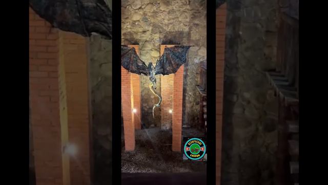 Великое княжество Сула , удивительное место #shortvideo #история #путешествия #сула #замок #беларус смотреть онлайн