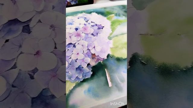 Акварельная картина "Голубая гортензия" - этапы создания смотреть онлайн