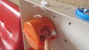 Как подружиться со своим джунгариком