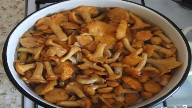 Сборник рецептов