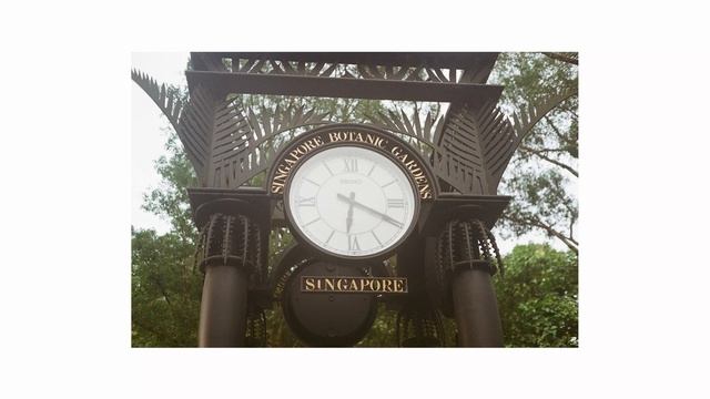 Singapore Botanic Garden + Minolta Hi-Matic 9 смотреть онлайн