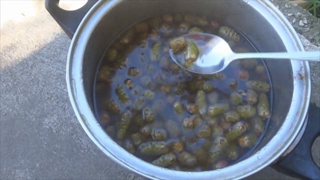 КАК ВАРИТЬ варенье из шишек лиственницы смотреть онлайн