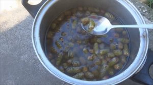 КАК ВАРИТЬ варенье из шишек лиственницы