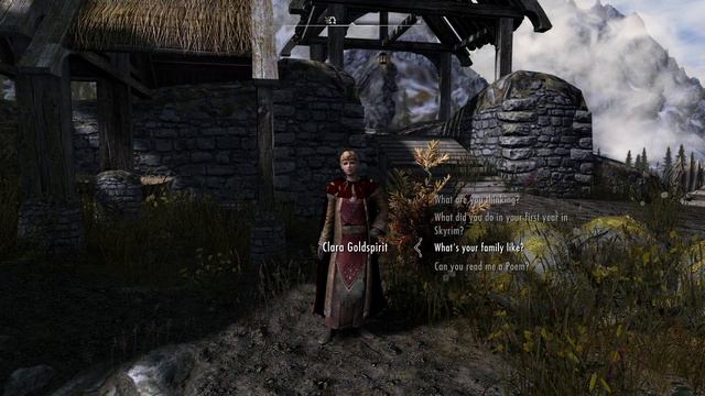Skyrim mod follower | Meeting Clara Goldspirit смотреть онлайн