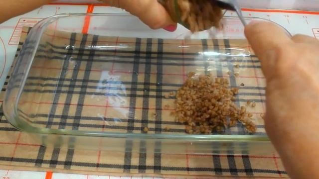 ЕСЛИ У ВАС ОСТАЛАСЬ ВЧЕРАШНЯЯ ГРЕЧКА,,,ЗАПЕКАНКА из ГРЕЧКИ смотреть онлайн