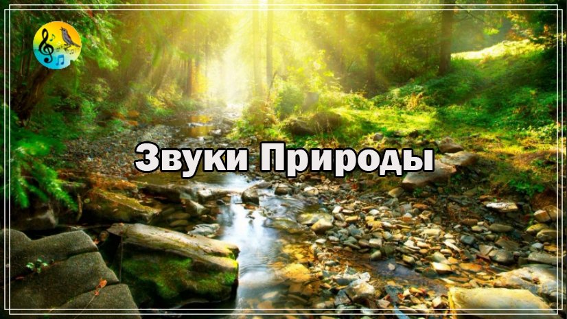 Звуки Природы Для Расслабления ? Засыпайте под нежные звуки маленькой горной речки ? Relax смотреть онлайн