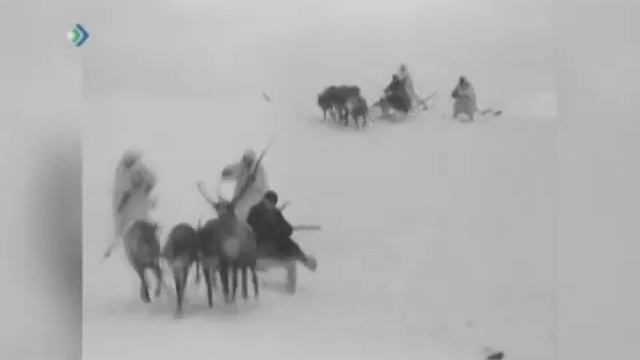 "АРКТИЧЕСКИЕ ТАНКИ ИЛИ ЗАПОЛЯРНЫЕ ТАНКИ". Студия мультипликации «Стартинка», г. Санкт-Петербург.