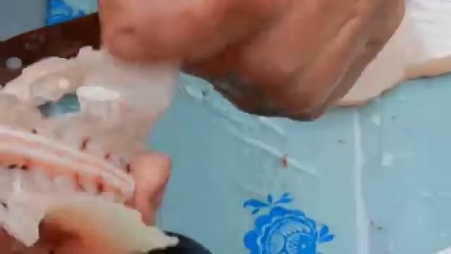 Рецепт жареной щуки вкусно смотреть онлайн