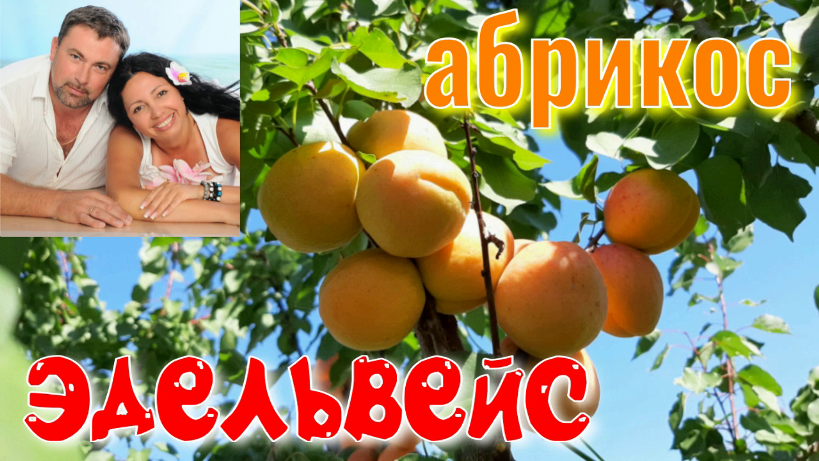 Каша из Эдика с Наташей