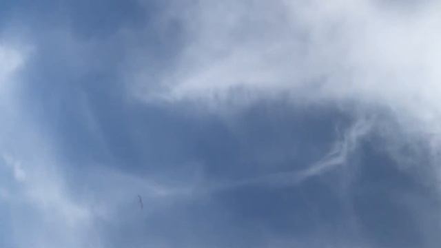 Медитация-мотивация МОЙ СЧАСТЛИВЫЙ ДЕНЬ ВСЯ МОЯ ЖИЗНЬ смотреть онлайн