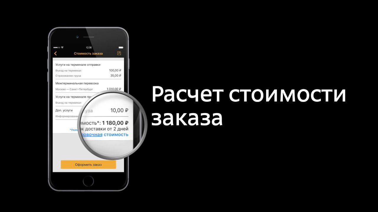 Мобильное приложение "Деловые Линии" для iOS смотреть онлайн
