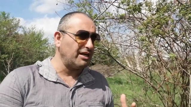 Уроки природы: учимся у шиповника смотреть онлайн