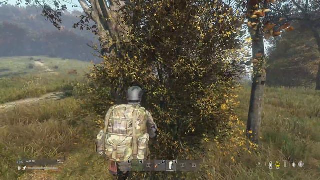 DayZ PVE _ ⭐Gagasha Bots_ НЕДОPVP