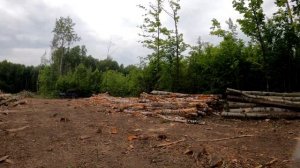 МТЗ  82.1 и лесозаготовка от А до Я.