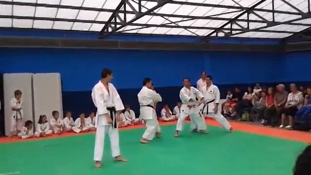 20140628 Video Karate 4 смотреть онлайн