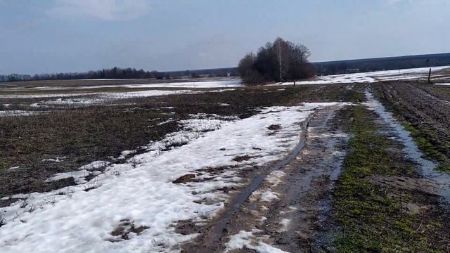 Озимая пшеница 16 03 2021 смотреть онлайн