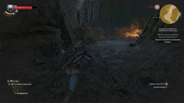 Ведьмак 3. Ведьмачьи древности. Осмотреть подземелье под храмовым островом.