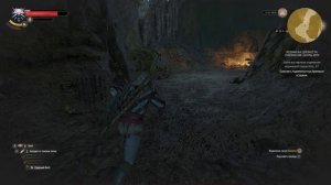 Ведьмак 3. Ведьмачьи древности. Осмотреть подземелье под храмовым островом.