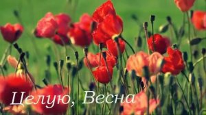 Дмитрий Ноябрьск - Целую , Весна