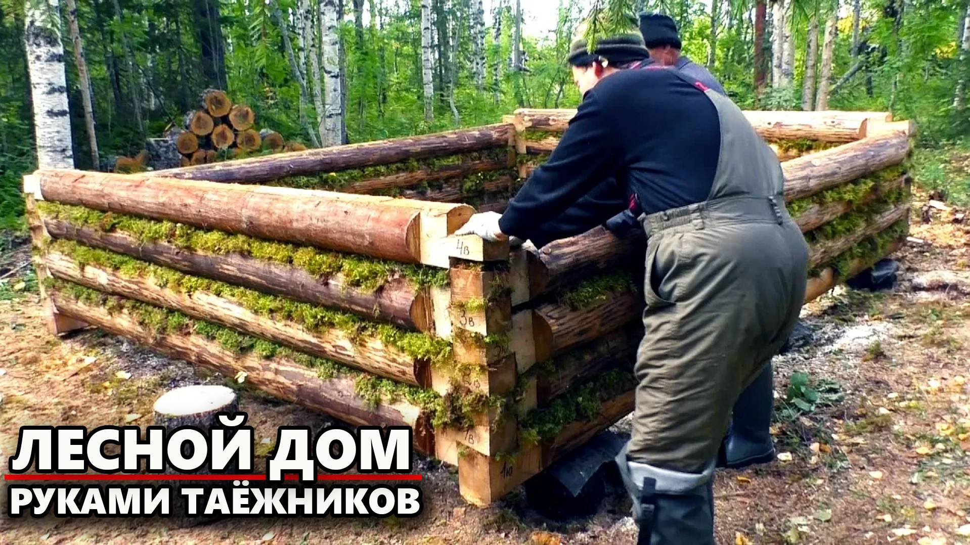 УШЛИ В ГЛУХУЮ ТАЙГУ, ЧТОБЫ ВДАЛИ ОТ ЦИВИЛИЗАЦИИ ПОСТРОИТЬ ДОМ смотреть онлайн