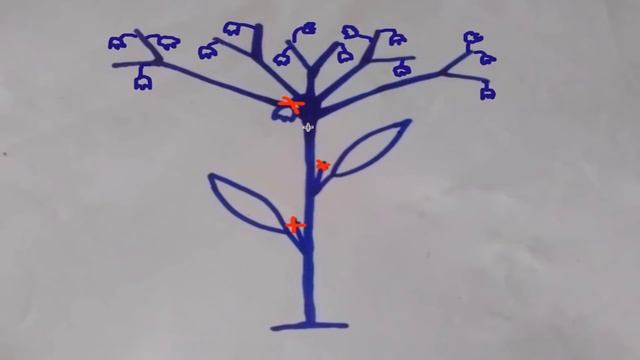 Стройка Глазами Архитектора