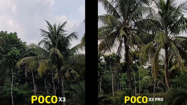 POCO X3 Vs POCO X3 PRO Camera Test! смотреть онлайн