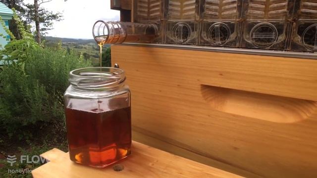 Австралийский лей Flow™ от производителя смотреть онлайн