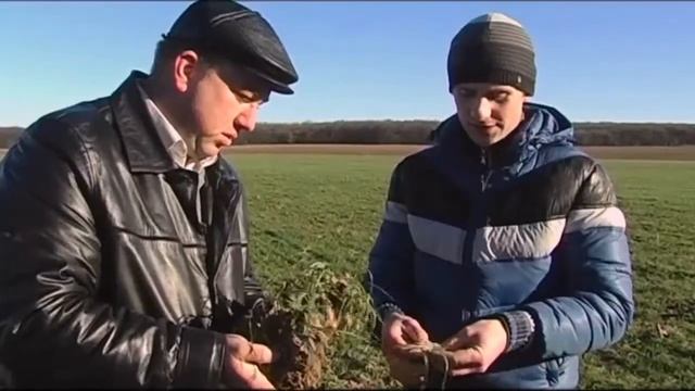 «Энзим-Агро» о выгодах применения агротехнологий MAStech® смотреть онлайн