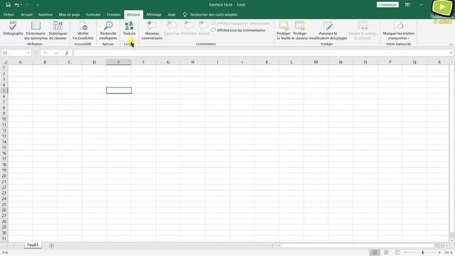 Formation Complète Microsoft Excel 2019 : Présentation du Ruban - Onglet Révision смотреть онлайн