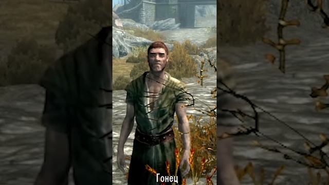 Наследство от ярла Балгруфа / Skyrim #shorts смотреть онлайн