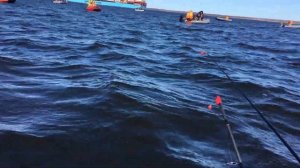 Рыбалка на корюшку с лодки Финский залив 2021