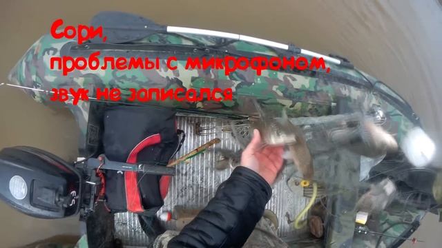 Рыбалка на хапугу хлопок, летом с лодки ПВХ Штурман, Рыбалка на Амуре, с fishermandv.27rus, смотреть онлайн