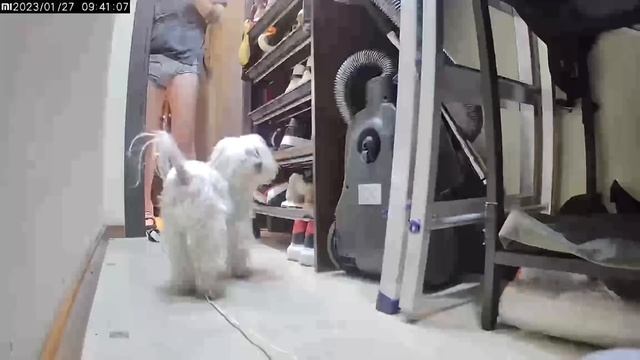 СКРЫТАЯ КАМЕРА В КВАРТИРЕ || ТОША УДИВИЛ смотреть онлайн