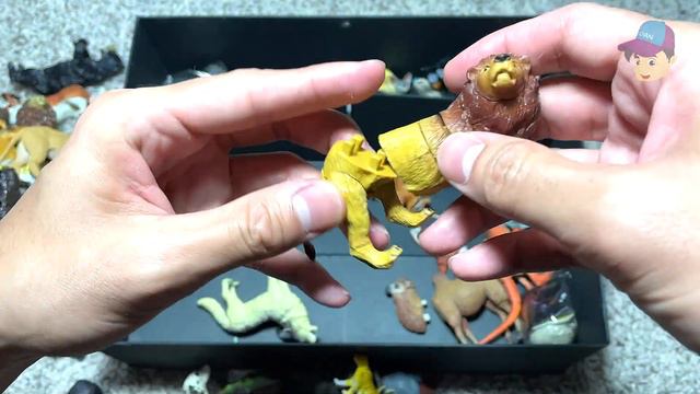 BIG BOX OF 3D ANIMAL PUZZLE - Lion Elephant Pig Bear Tiger смотреть онлайн