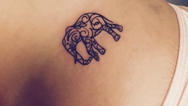 Little Elephant Tattoos смотреть онлайн