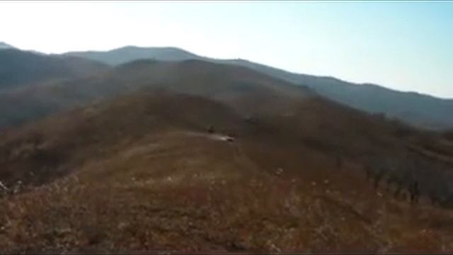 Баха Сидими 2010 г part 5.flv смотреть онлайн