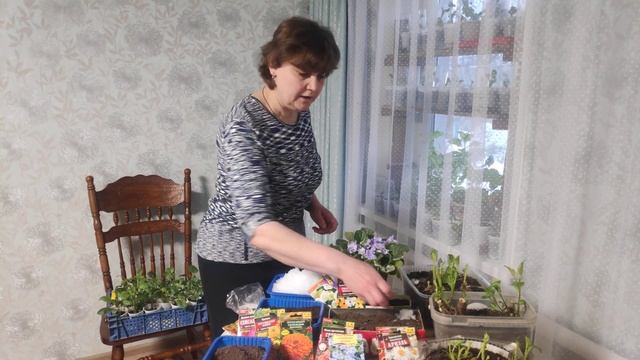 Сеем семена однолетних цветов смотреть онлайн